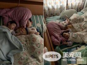 世界上最温馨的画面 阿柴塞2孩中间睡觉
